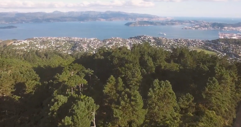 New Zealand, Dunedin Town Belt