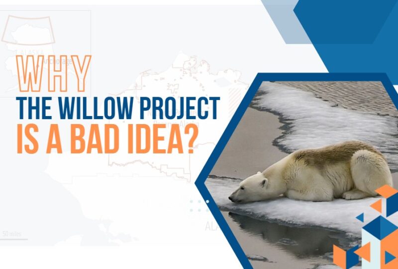 Willow Project Pros and Cons